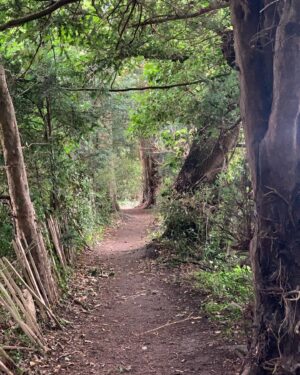 Alison Law Instagram - Ok so who stole summer? The seasons are on the turn and the nights are already drawing in but that’s ok because every season has its own beauty 🌾 #nature