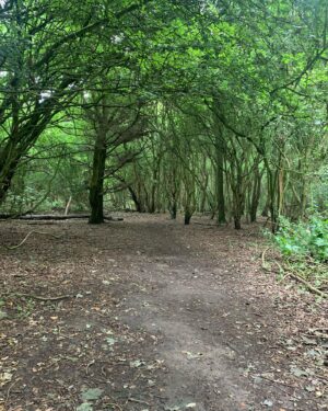 Alison Law Instagram - Ok so who stole summer? The seasons are on the turn and the nights are already drawing in but that’s ok because every season has its own beauty 🌾 #nature