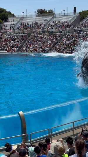 Alison Lohman Instagram - Sea World!