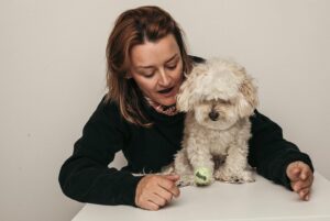 Alison Wright Instagram - ❤️LUIGI❤️
2012-2022

Thank you from the bottom of my heart to all of you who loved him. 
To all his Aunties & Uncles Who made a fuss and made him feel special. For the babysitting , the cuddles, the care & love and kisses. For throwing his beloved ball, or at least trying to .

My Greatest Joy ❤️
The Goodest Boy ❤️

Thank you @karolinaturek 📸 for getting these photos in his last week.
Thank you @sharai_mustatia ❤️for holding everything else together.

#maltipoo #bestboy #maltipoolove #dogsofinstagram