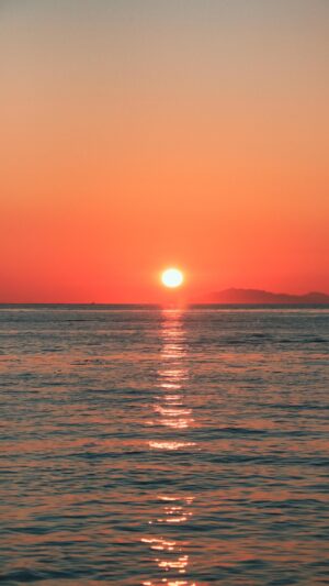 Alix Schwartz Instagram - The birthday sunset. - Wreck Beach

#vancouver #wreckbeach #epicsunset #sunsetgoals #sunset #britishcolumbia #bc #canada #visitcanada #beachphotography #view #pnw #pacificnorthwest #travelphotography #westcoast #travelhere #traveldestination