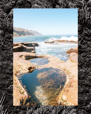 Alix Schwartz Instagram - Earlier this year I went on my dream trip and I’ve barely posted any of it🙈 I’m so bad at keeping up with posts, but here’s some photos that no one will even see because of the algorithm! Woohoo

One of my favorite days in Australia was driving down the coast and exploring all the tide pools and beaches along the way. I was amazed by how clean and clear the water was and the vibrant sea life really put our US beaches to shame. Also the public beach pools are brilliant! Why don’t we have those?!

#australia #sydney #australiabeaches #tidepools #dreamtrip #exploreaustralia #downunder #travelphotography #grain #beachvibes #travelmoments #photodump #wombarra #bullibeach