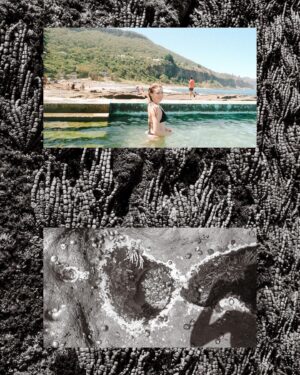 Alix Schwartz Instagram - Earlier this year I went on my dream trip and I’ve barely posted any of it🙈 I’m so bad at keeping up with posts, but here’s some photos that no one will even see because of the algorithm! Woohoo

One of my favorite days in Australia was driving down the coast and exploring all the tide pools and beaches along the way. I was amazed by how clean and clear the water was and the vibrant sea life really put our US beaches to shame. Also the public beach pools are brilliant! Why don’t we have those?!

#australia #sydney #australiabeaches #tidepools #dreamtrip #exploreaustralia #downunder #travelphotography #grain #beachvibes #travelmoments #photodump #wombarra #bullibeach
