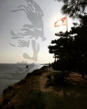 Aliye Uzunatağan Instagram - İzindeyiz…