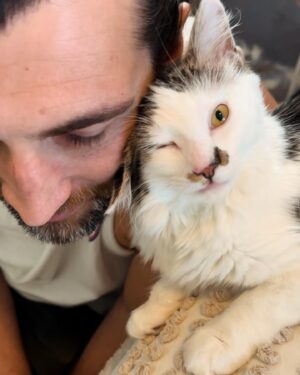 Allegra Edwards Instagram - A very soft launch. 
This is Gilda. She’s funny like Radner and foxy like Rita. And we love her golden eyes. ✨ 
Thank you so much @mellamprey @zanelamprey with @pumpkinpatchpetrescue for rescuing this precious kitty and taking excellent care of her until we could bring her home. 🐾