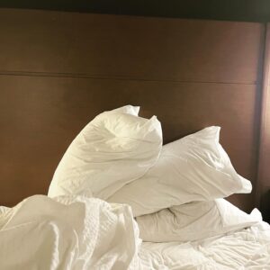 Allen Leech Instagram - Have you ever been in a hotel room for so long to the point that your pillows look like a pig giving a reach around to a rino whilst a terrier in the foreground looks on!