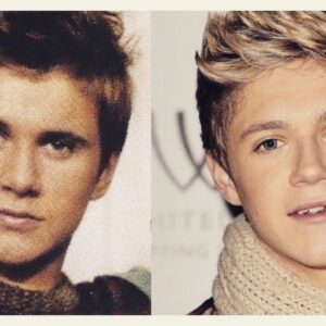 Allen Leech Instagram - Everyday someone says "You look like an older Niall from 1D" I just can't see it! 😂