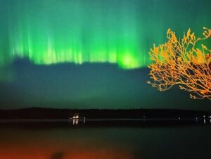 Allison Miller Instagram - Witnessed the Northern Lights tonight and screamed a lot to myself. Minnesota is A .