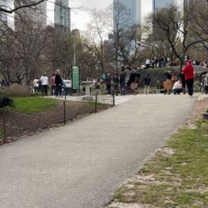 Allison Miller Instagram - All of Central Park smells like weed. Today is a fun day to live here.
