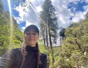 Allison Paige Instagram - 📍#SequioaNationalPark