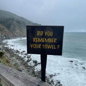 Ally Pankiw Instagram - here’s looking at you, spring. thanks winter, for writing and hibernating and cults and god stuff and growth and new babies and family and all kinds of good shit 🌊