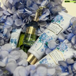 Aloha Takamatsu Instagram - 5月24日　『Flora Notis JILL STUART』から
期間限定で4つの商品が発売されます！

・『ブルーハイドレンジア　オードパルファン』20mL 4290円　(税込)
・『ブルーハイドレンジア　リップセラムUV』 10g  1980円(税込)
・『ブルーハイドレンジア　エッセンシャルUVプロテクター』 60g 3300円 (税込)
・『ブルーハイドレンジア　リペアスムースヘアミルク』 100g  3520円　(税込)

僕のおすすめは・・・・
オードパルファンです！
ワンプッシュだけで爽やかで優しいブルーハイドレンジアの香りが広がって、長く香りを楽しめます！
紫陽花をイメージしたブルーのパッケージも限定デザインでとても素敵なので、是非！超特急でゲットしちゃってください🌸

ちなみに3枚目に関しては僕が頑張って撮影しました〜！綺麗でしょ！！

#PR #フローラノーティスジルスチュアート
#フローラノーティス　#ブルーハイドレンジア
#超特急 #超特急アロハ