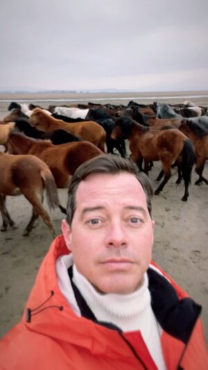 Alp Kırşan Instagram - Doğada özgür yaşayan yılkı atları, kayseri hacılar ilçesinde görebileceğiniz doğada serbest gezen atlar. #wild #wildhorses #horse #yılkı