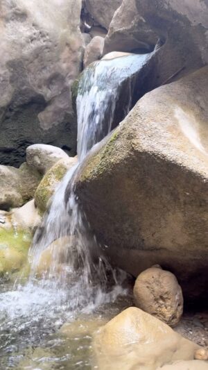 Alp Kırşan Instagram - Huzur mu?