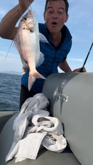 Alp Kırşan Instagram - Antenli mercanı bulduk sonunda @oltacicocuk #fish #fishing
