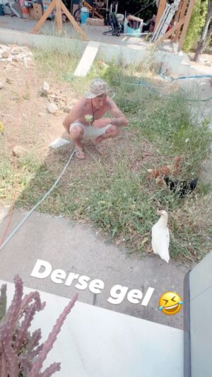 Alp Kırşan Instagram - Derse gel derseee hee heeeeyt