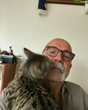 Altan Gördüm Instagram - Dino ve aşırı sevgisi…