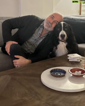 Altan Gördüm Instagram - Öncesi ve sonrası…#bernese