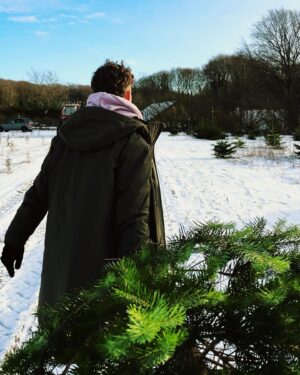 Álvaro de Juana Instagram - Recogiendo el árbol de Navidad de este año con @scotta1985 ❄️🎄