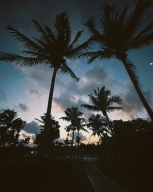 Amalia Williamson Instagram - 🌴 🌚 ⛅️