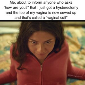 Amanda-Faye Jimenez Instagram - Truthfully, it took a lot out of me to resist the urge to return briefly to meme form and not simply make one about my recent hysterectomy, but luckily for you: 

1. I saw Challengers, which blew my MIND!!
2. It’s #femmefriday
3. The blue eye shadow and red lip thing that’s happening everywhere 👄
4. I started a new antidepressant after almost 3 years being absolutely ridden raw by major depressive disorder and prrrettty serious anxiety, and it is helping, I think, but it has not made me any less prone to eating ill-advised cheeses. 
5. So yeah, I had surgery and for the very first time, for a little while, I felt completely embodied, totally human, like the woman I’ve been wanting to be my whole life, in fact, and I can’t talk about that much without crying, so it’s probably an essay, not a meme *eyeroll, jackoff motion*