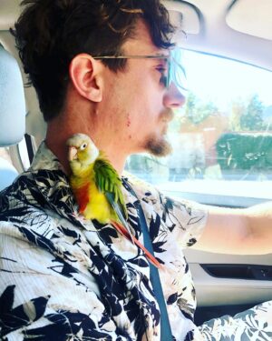Amaryllis Fox Instagram - Our beloved Toots. You were named for the artist whose colors you wore on your chest. You landed in our life like a guardian spirit, impossibly fragile, impossibly brave. From the first day you joined our family, you came with us everywhere, perched on one of our shoulders or nestled under our hair. You ate salad at cafes beside us, romped with us on evening walks, let children everywhere nuzzle your soft feathers. You reminded each person you met that however broken this world may seem, it bursts everywhere with consciousness and magic and life.
.
The night before you crossed the rainbow bridge, I lay with you on the sofa. I had no idea it was our last moment together. But in the stillness, I could feel your heartbeat. You turned your head so I could rub the spot under your chin. We were connected.
.
Today, as we let your earth body go, as so many around the world face so much inconceivable loss, I take quiet comfort in remembering that moment. The mystery that pulses under the surface, the force that connects us all. It is, in the words of the original Toots, a love that is deep as the ocean, and wide wide wide wide as the sea.