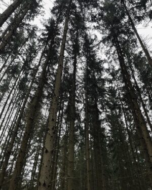 Amelie Pokorná Instagram - svet je silenost. 
nejen v tom, co se tu aktualne deje, ale i v tom, co je celkem bezna soucast kazdodenniho zivota. 
proc je zakladnim principem zivota rozmnozovani a my se navzajem odmitame a nechceme?
je idealni poznavat novy okruhy lidi, nebo mit ten svuj a v nem mit jistotu?
vsude se rika, jak je zit strasne tezky, ale taky ze priroda je jednoducha.
proc clovek ucukne rukou, kdyz se spali, prestoze je schopen se sam utrapit myslenkami?
kdyz je pro lidi bolest ponauceni, proc ji tedy nikdo nechce zazivat? 

- radoby intelektualni zapis z poznamek asi z ledna, 4:30 rano 🌞