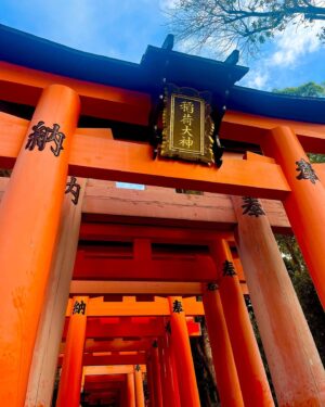 Ami Tomite Instagram - 撮影で数年ぶりに京都⛩

一番パワーもらえる伏見稲荷大社にも行けたし、よしもと祇園花月にも久しぶりに行けて推し活できたし、最高だった⛩❤️

#京都 #京都観光 #京都旅行 #kyoto #kyototrip #kyototravel #kyotofood #伏見稲荷大社 #千本鳥居 #よしもと祇園花月 #祇園花月 #喫茶コロラド #喫茶店巡り #京うどん #京都カフェ #京都駅グルメ