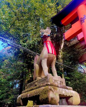 Ami Tomite Instagram - 撮影で数年ぶりに京都⛩

一番パワーもらえる伏見稲荷大社にも行けたし、よしもと祇園花月にも久しぶりに行けて推し活できたし、最高だった⛩❤️

#京都 #京都観光 #京都旅行 #kyoto #kyototrip #kyototravel #kyotofood #伏見稲荷大社 #千本鳥居 #よしもと祇園花月 #祇園花月 #喫茶コロラド #喫茶店巡り #京うどん #京都カフェ #京都駅グルメ