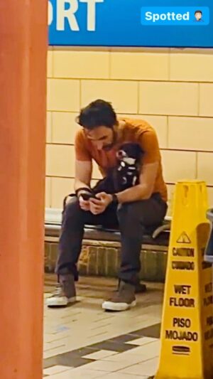 Amir Arison Instagram - Spotted! With Rei 🐾 
I don't condone filming people without their knowledge, but this was from reina's mom 🙏🏼
#ReinaTheRescue #DaddysGirl #DogParents #Subway #RescueDogs