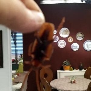 Amir Hossein Seddigh Instagram - پشت صحنه مجموعه
منم دوستت دارم