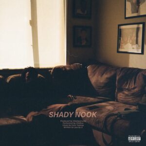 Amir Mitchell-Townes Instagram - MY NEW RECORD “SHADY NOOK” PROD BY @iamwesleycurtis OF @ilikethatonline IS OUT EVERYWHERE! 🤎💫🧦🟤

Cover by @corytownes