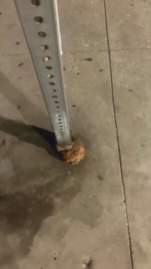 Amirhossein Rostami Instagram - هیچ وقت در زندگی از آرزوهات دست نکش و تسلیم نشو..این شعار همه ی آدمهای موفقه❤️