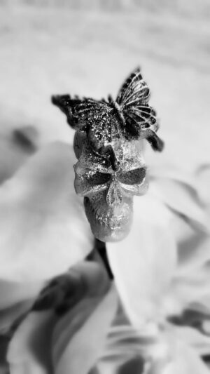Amy Bouzaglo Instagram - “Those who are afraid of death will carry it on their shoulders.”
Spanish poet Federico García Lorca