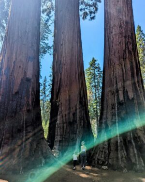 Amy Paffrath Instagram - Proof of life and how utterly small we are 🌲🥾⛰️🌸