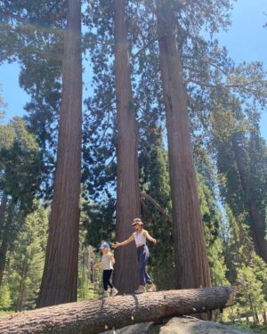 Amy Paffrath Instagram - Proof of life and how utterly small we are 🌲🥾⛰️🌸
