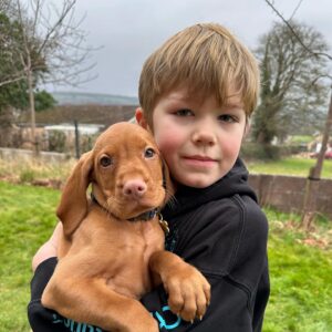 Amy Williams Instagram - We are all so in 💙 already. Welcome to our family Monty🐾. 

#vizsla #vizslapuppy #newpuppy #9weekoldvizsla