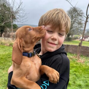 Amy Williams Instagram - We are all so in 💙 already. Welcome to our family Monty🐾. 

#vizsla #vizslapuppy #newpuppy #9weekoldvizsla