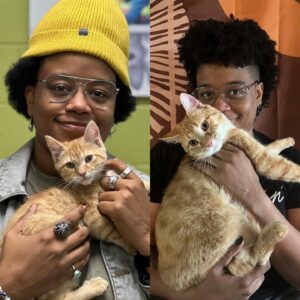 Amythyst Kiah Instagram - Zuko is now a fully grown adult who will always be baby, and he definitely enjoyed being held in the second photo… 😅🥹♥️