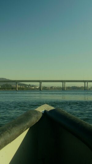 Ana Correia Instagram - Venho de uma família de pescadores, em Darque, Viana do Castelo. Quando era pequena, o meu pai e os meus tios ensinaram-me a conduzir o barco onde pescavam. 🐠
Agora, foi a vez do meu sobrinho aprender com o avô e tio-avô.
Tenho muito amor por este filme, sinto que eternizei a primeira experiência do Duarte a conduzir o barco, mas também a minha através dele, assim como um pouco da nossa história enquanto família, que continua por mais geração.

Espero que gostem 🥰🌊 

#vianadocastelo #viana #lumix #lumixgh5 #cinematography #portugal #2024 #storytelling #filmmaking #filmmaker #blackpromist #boat #river #riolima #darque #sigma #sigmalens #sigmalenses