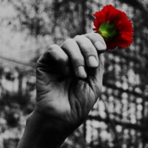 Ana Guedes Rodrigues Instagram - Sou de Abril. Já nasci em liberdade, mas valorizo cada conquista da Democracia. 

Receio muito que possamos estar num caminho de recuo. 

Talvez por isso sinta como nunca o enorme peso da responsabilidade de desempenhar a profissão que escolhi e que só existe em liberdade. 

Há meio século conquistámo-la e temos andado a trabalhar nela. Hoje, expliquei aos meus filhos que esse trabalho não tem fim. 

“A liberdade, em qualquer dos casos, só é possível se lutarmos constantemente por ela”, Albert Einstein