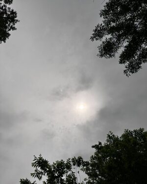 Ana Marie Cox Instagram - Another shot from the totality, the corona less broken up by clouds and shining in a near-perfect circle. #nofilter #eclipse