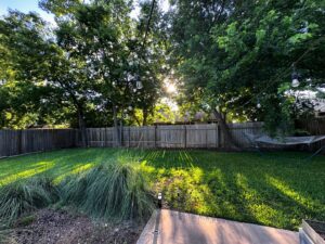 Ana Marie Cox Instagram - Freeze framing what my lawn looks like now so I will remember it in late August after two months of 100-degree temps and no rain.