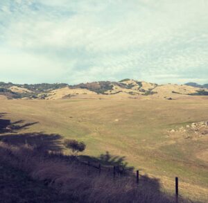Ana Matronic Instagram - VIXENS, VISTAS, VIBES: a California road trip photo dump. I read that @annmagnuson.official was doing “A Goth Xmas” in honor of the 40th Anniversary of The Hunger and knew I had to make the journey. Called up @portiapeeples and we made it into a REAL trip, SF-LA. Madonna Inn, Hearst Castle, Hollywood. So dreamy.