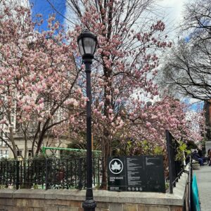 Ana Yi Puig Instagram - spring, sprang, sprung! 🌷🌼🍃🌸