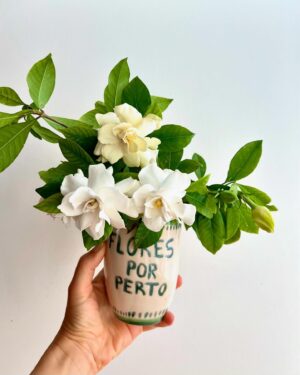 Anabela Mota Ribeiro Instagram - Flores por perto, aconselhava Aurora: quase um refrão d’ O Quarto do Bebé. Tão difícil e tão necessário, o florescimento. Vou estar na Feira do Livro de Lisboa, sábado, 15h, a assinar livros. Vemo-nos no espaço da Quetzal?