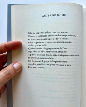 Anabela Mota Ribeiro Instagram - Duas coisas da semana passada: uma muito boa, uma muito má. 
A péssima: a vitória da extrema direita em França. 
A maravilhosa: a atribuição do prémio Camões a Adélia Prado, poeta amada e mítica, daquelas que me fazem pensar: que bom que o português é a nossa língua materna. 
(Post de pausa pra café e de pessoa que recusa sucumbir ao pessimismo mais que justificado destes tempos.)
