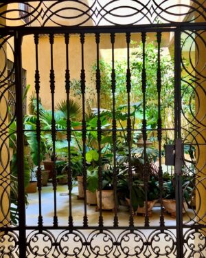 Anabela Mota Ribeiro Instagram - Imaginem sair de casa e ter este pátio… Sevilha me encanta.