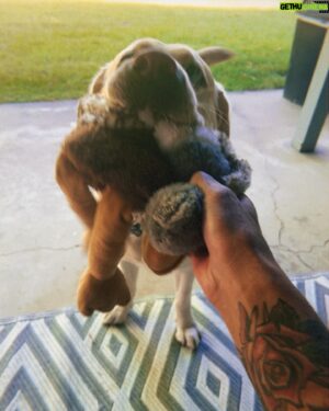 Andre Fili Instagram - GREAT NEWS! Everyone you know is a fucking fraud. It’s beautiful. We’re all just making educated guesses and doing our best. What one man can do- another can do. That means your dreams are within reach, someone has to accomplish them- why shouldn’t it be you? It should be. It’s men’s mental health awareness month and that’s why I have chip crumbs on my face in the first pic. Tell your homies you love them. When I die I hope it’s in a magnificent blaze of glory. Or peaceful and cozy in my own bed. Either way make the funeral a party.