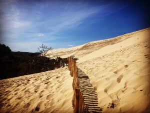 Andrea Ropero Instagram - Qué lugar más fascinante 💫 Es la Duna de Pilat, la más grande de Europa. El Atlántico, un bosque infinito y unas vistas que costará olvidar…💜 #DuneduPilat #naturaleza #France #familytime #paz